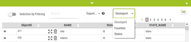 GeoReport from selection tool