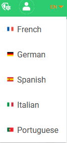 Language selection