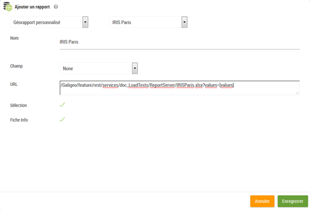 Configuration géorapport personnalisé
